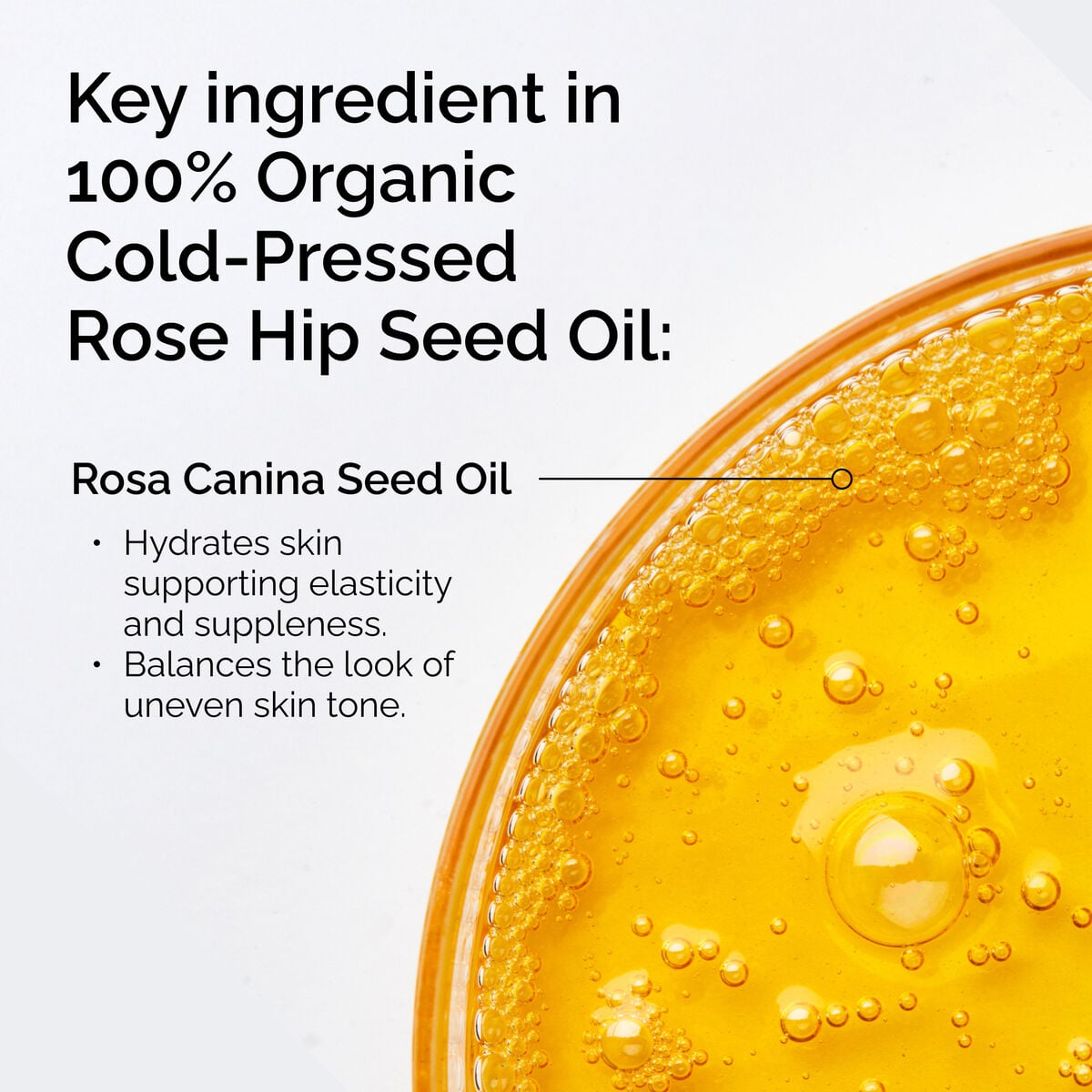 100-organic-cold-pressed-rose-hip-seed-oil-d6 FY25-D41247-ORD-Web-PDP-100-Rose-Hip-Oil-1x1-EN-2.jpg