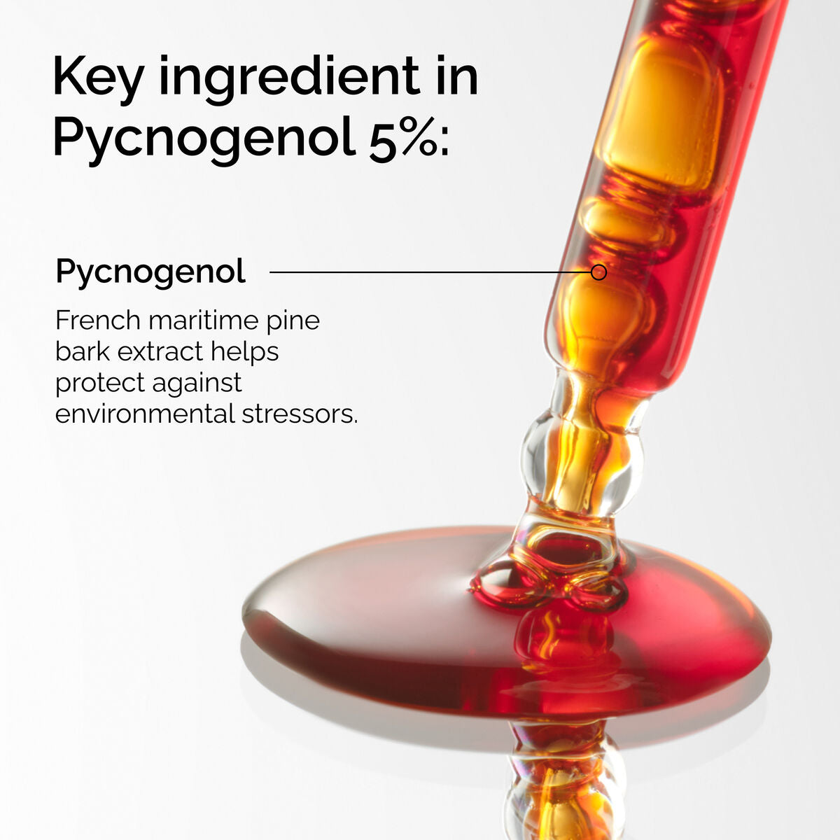 pycnogenol-5-a8 FY25-D41247-ORD-Web-PDP-Pyc-5pct-1x1-EN-2a.jpg