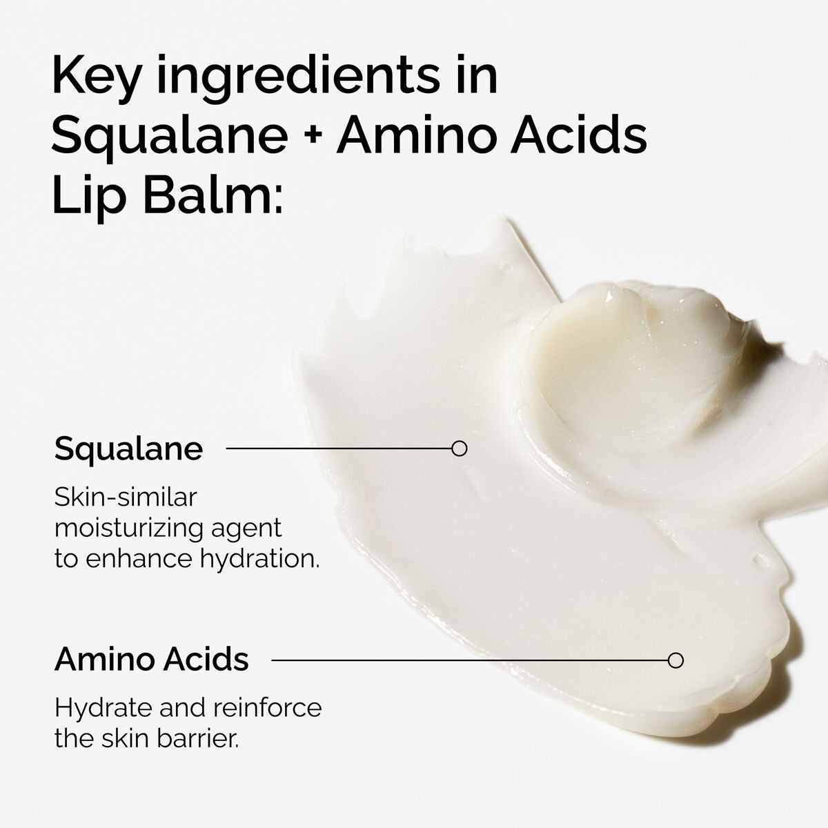squalane-amino-acids-lip-balm-k3 FY25-D41247-ORD-Web-PDP-Sql-Amino-Lip-1x1-EN-2a.jpg