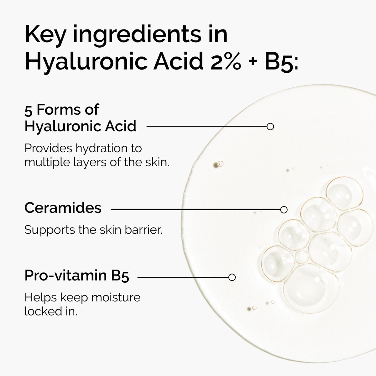 hyaluronic-acid-2-b5-with-ceramides-c1 ord-hyaluronic-acid-2pct-b5-hydrating-serum-ingredients-graphic.jpg
