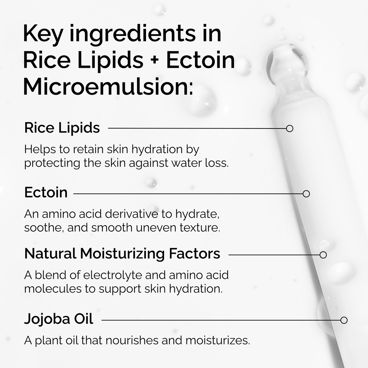 rice-lipids-ectoin-microemulsion-u0 ord-rice-lipids-ectoin-microemulsion-key-ingredients.png