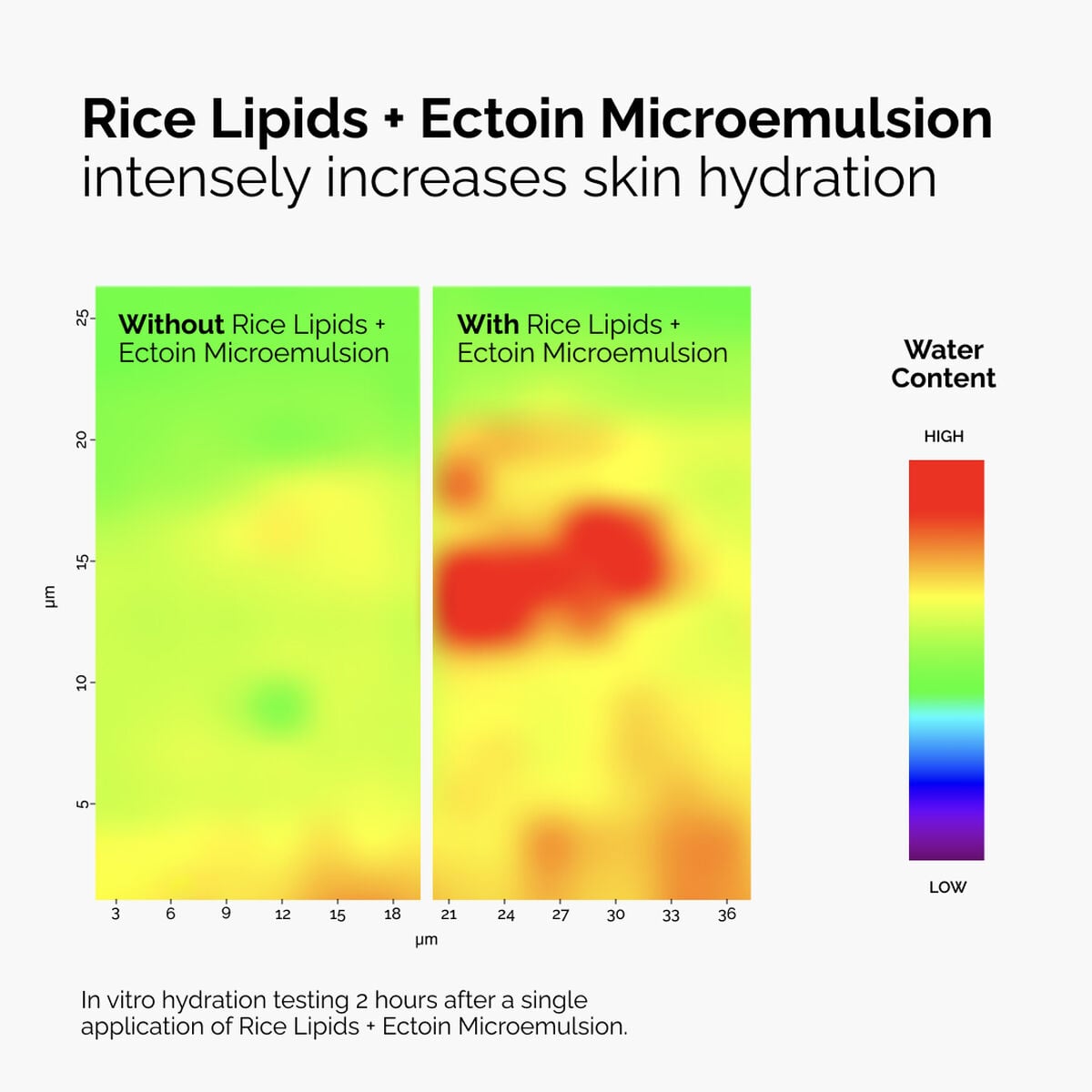 rice-lipids-ectoin-microemulsion-u0 ord-rice-lipids-ectoin-microemulsion-thermal-before-after.jpg